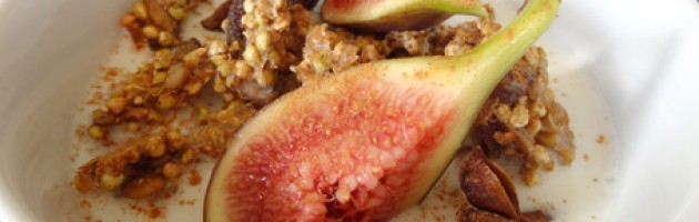 Raw Apricot, Fig & Ginger Buckwheat Crunchies