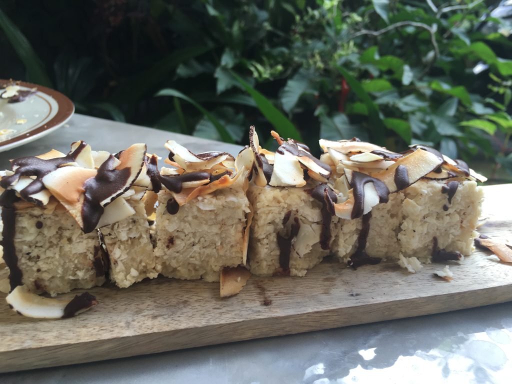 Raw Fusion Coconut Slice