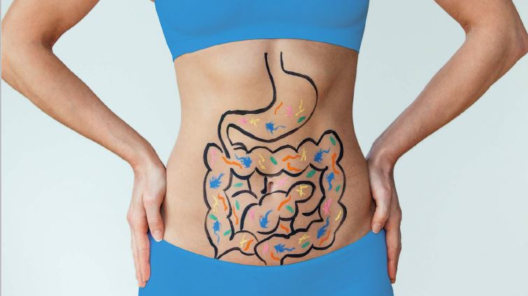 The Surprising Link Between Gut Health and Skin Health